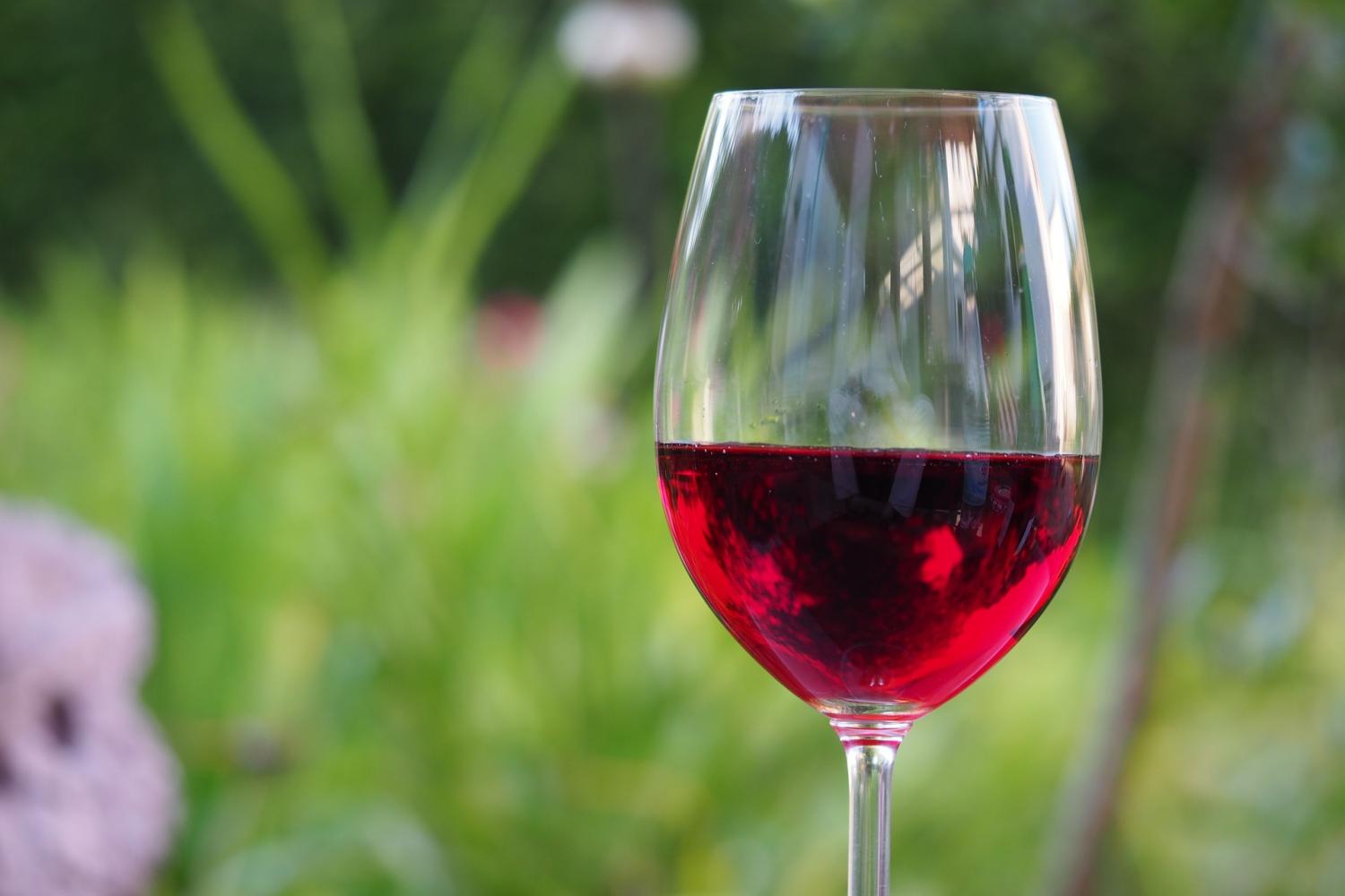 Moderate Wine Consumption Linked to Lower Cardiovascular Risk in High-Risk Individuals